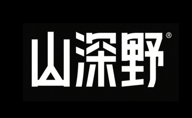 品牌LOGO设计，标志标准字体，黑底白色...