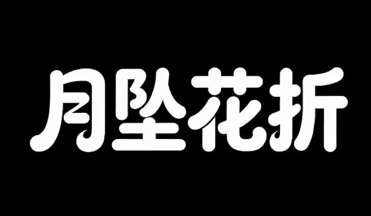 黑底白字，背景为纯黑色，无其他元素干...
